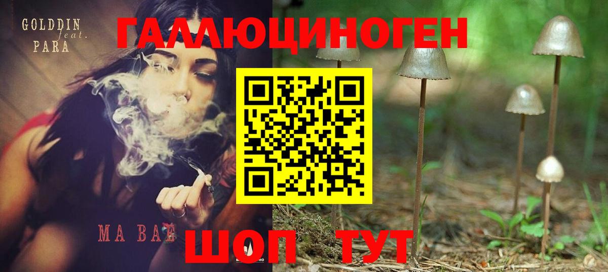 Галлюциногенные грибы Psilocybine cubensis  Галлюциногенные грибы MAGIC MUSHROOMS  Нягань  Вход с VPN 